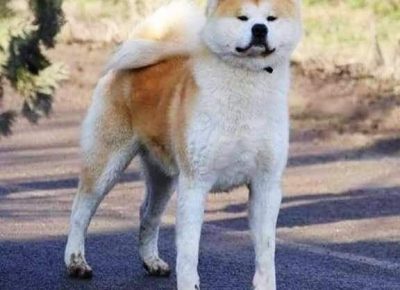 2350465145144013296608076139421437274259160n1629380742