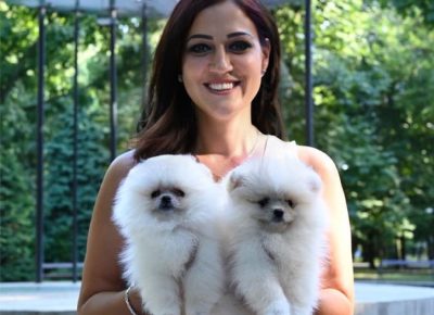 2352209234865144540166479496744600192942350n1628855774