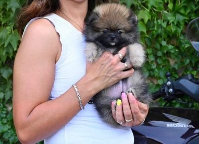 2355307103872325160835154056717634370447483n1628855773