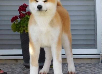 235891911950170645544201155413240455738982n1629380743