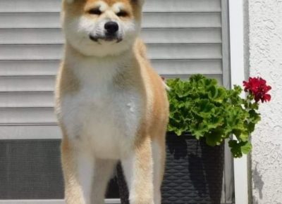 2387129063205921465075499219896671119500081n1629380743