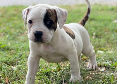 2407680665352061677035123643038152956103599n1630068886