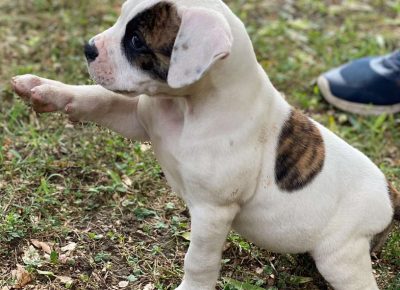 2407913094593178483583393630245628846940874n1630068885