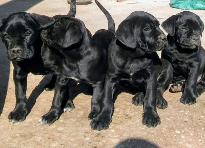 7861195325990719468431517104696817568186368n1630414697