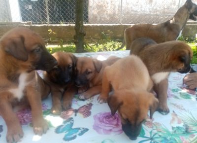 IMG06b8f4a56aa8a615cef15d72bbd571bbV1628613097