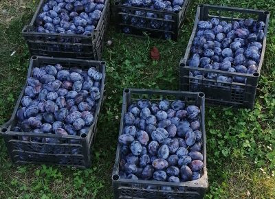 IMG202008241706111629566096