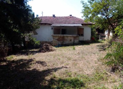 IMGad897e818b1960228260ed7817045487V1630398631