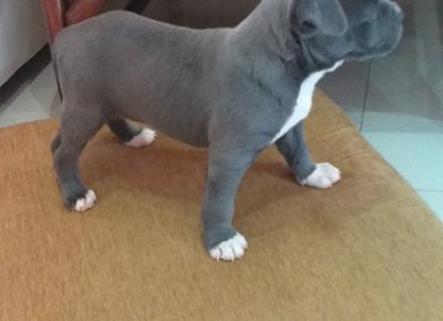 aiberimage202107101900149111629983589