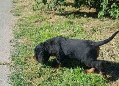 gordonseter051629396159