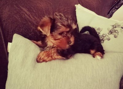 irinapleh21629716422