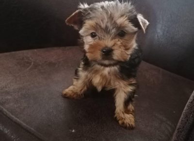 irinapleh41629716422