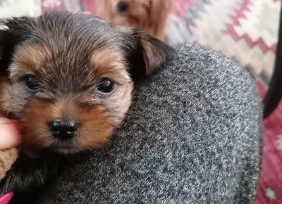 irinapleh51629716423