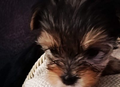 irinapleh61629716423