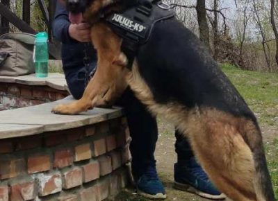 nemackiovcar081628522124