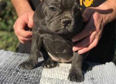 viberimage102108131332015091629463075