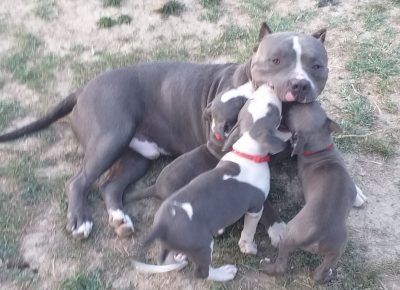 viberimage202107101710295691629983591