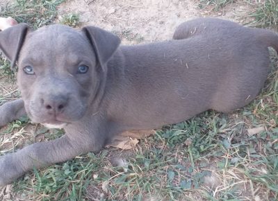 viberimage202107101710309881629983590