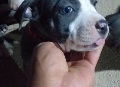 viberimage202107101710336471629983590