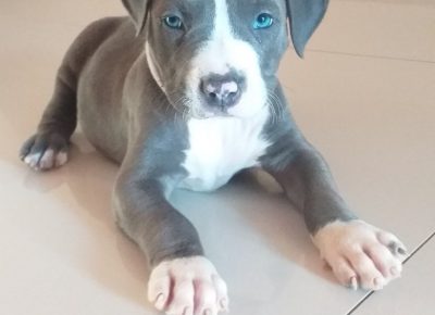 viberimage202107101710379451629983589