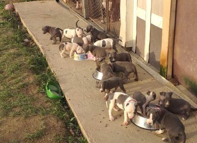 viberimage202107101710540861629983591