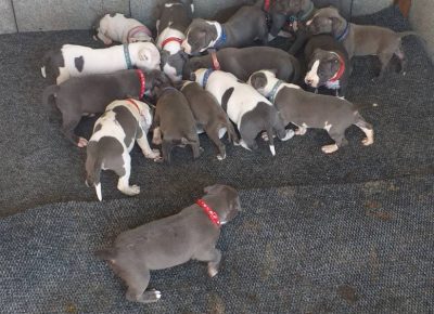 viberimage202107101710562111629983591