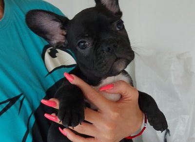 viberimage202107232028450791628288984