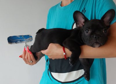 viberimage202107232029479771628288985