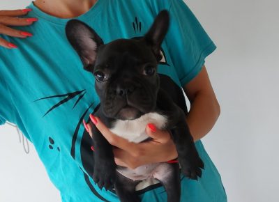 viberimage202107232029483821628288985