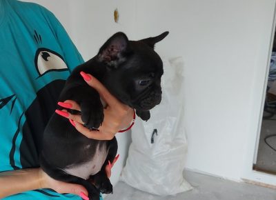 viberimage202107232029485211628288985