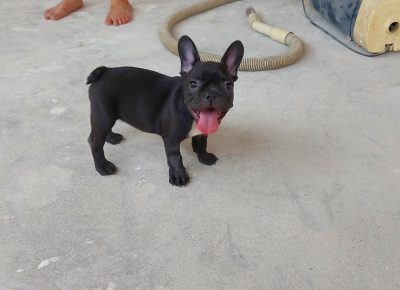 viberimage202107232029486131628288985