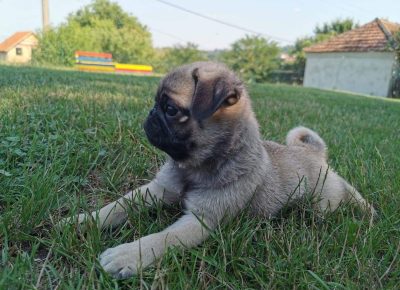 viberimage202107270822079501629746618