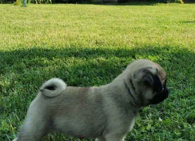 viberimage202107270822081101629746619