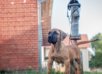 viberimage202107271918360771629272477