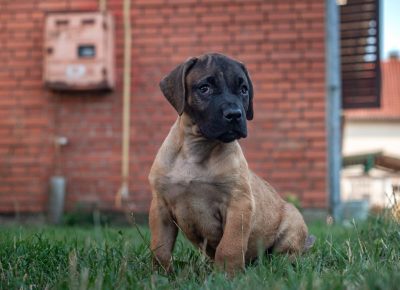 viberimage202107271918365631629272476