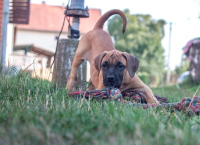 viberimage202107271919213611629272476