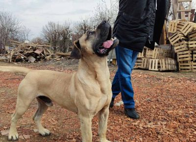 viberimage202107271919213631629272477