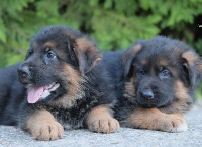 viberimage202107301920033471627805948