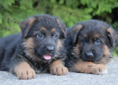 viberimage202107301920038651627805948