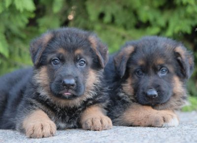 viberimage202107301920044541627805947