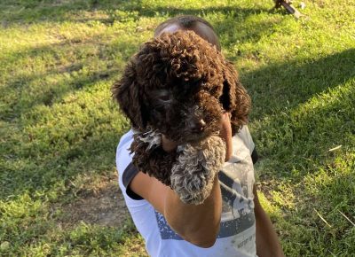 viberimage202108022112392971630432081