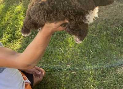 viberimage202108022112463051628880710