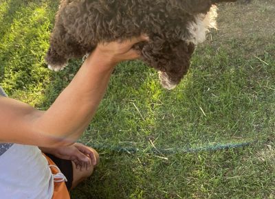 viberimage202108022112478161628880712