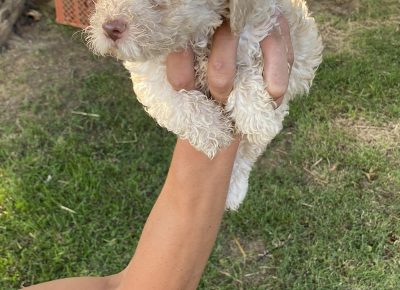 viberimage202108022112551771630432082