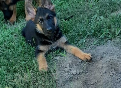 viberimage202108081036596161628424361