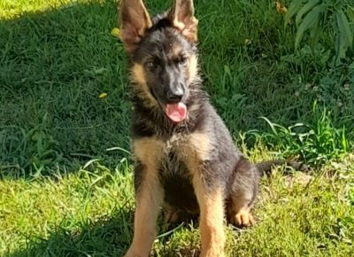 viberimage202108081037216911628424361