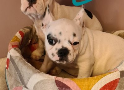 viberimage202108121423468901628798184