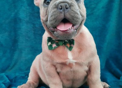 viberimage202108121656528351628845815