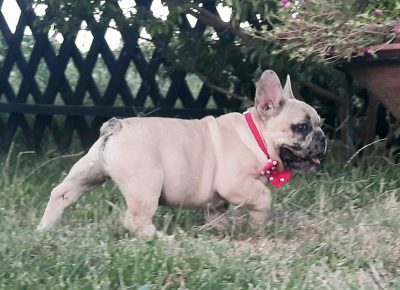 viberimage202108121657055161628845815