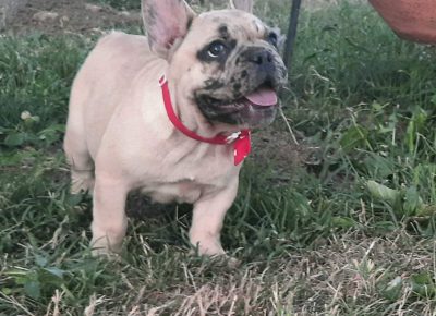 viberimage202108121657057911628845815