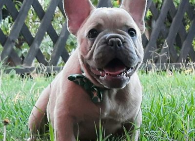 viberimage202108121657065061628845816